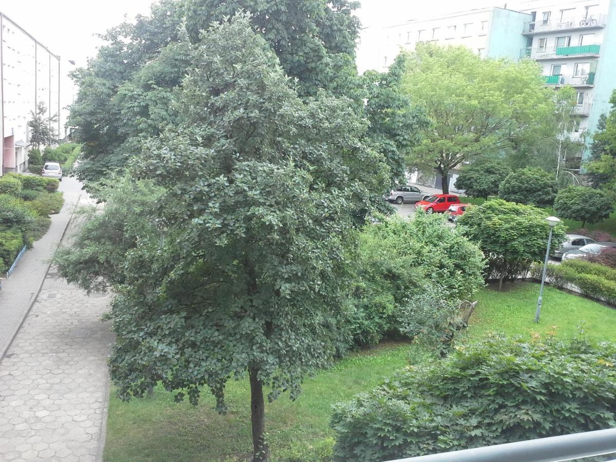 3030 Jana Spychalskiego 32 - Tanie Pokoje W Apartamencie - Samodzielne Zameldowanie - Self Check In Poznań Eksteriør bilde